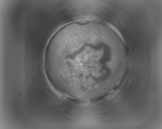 X0000074961099200609221750