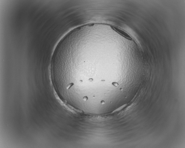 X0000074961100200609221750