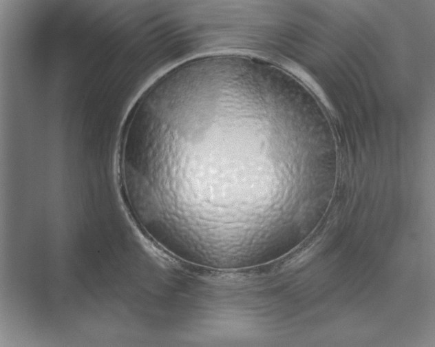 X0000074961101200609221750