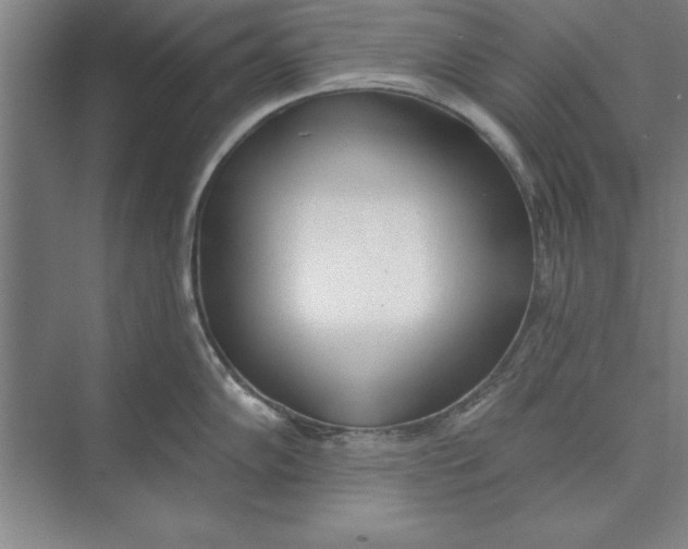 X0000074961102200609221750