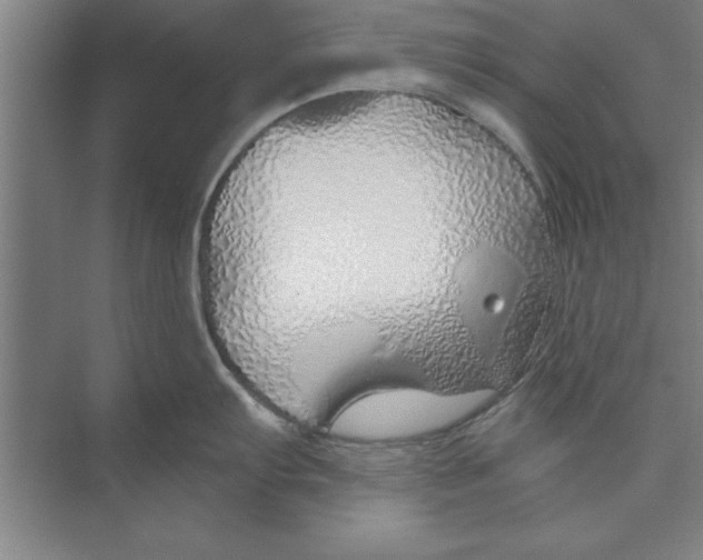 X0000074961103200609221750