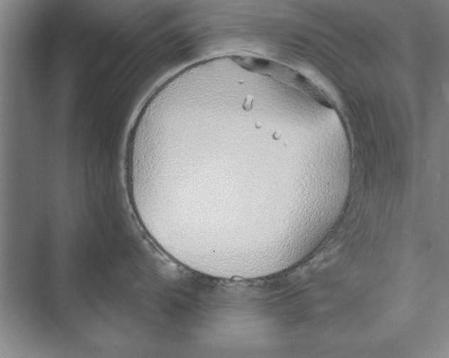 X0000074961104200609221750