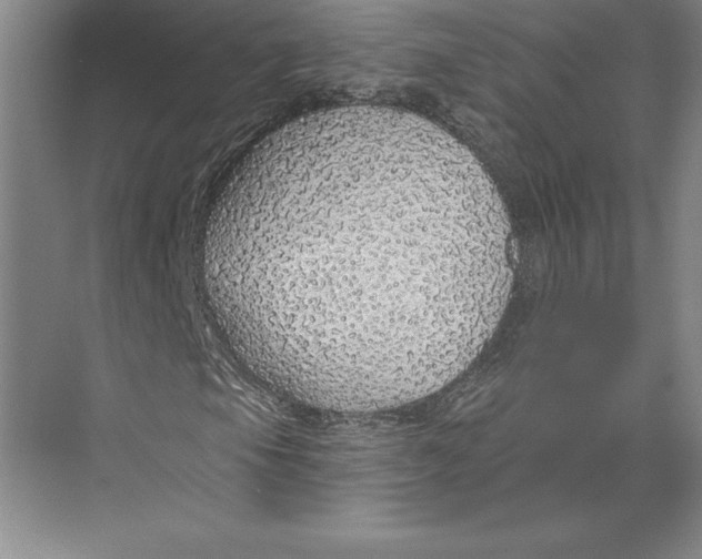 X0000074961105200609221749