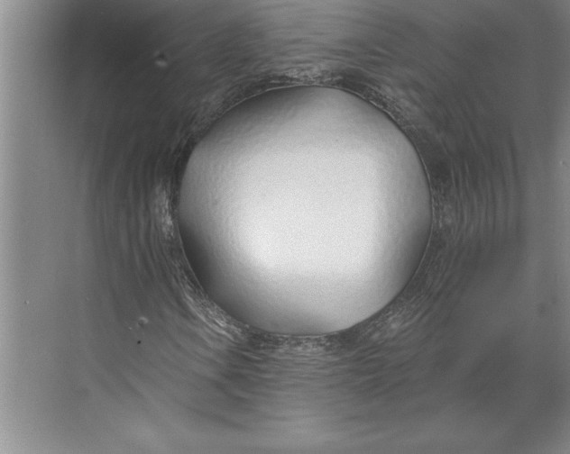 X0000074961106200609221750