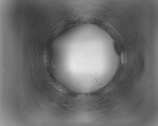 X0000074961107200609221750