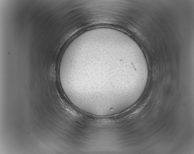 X0000074961113200609221750