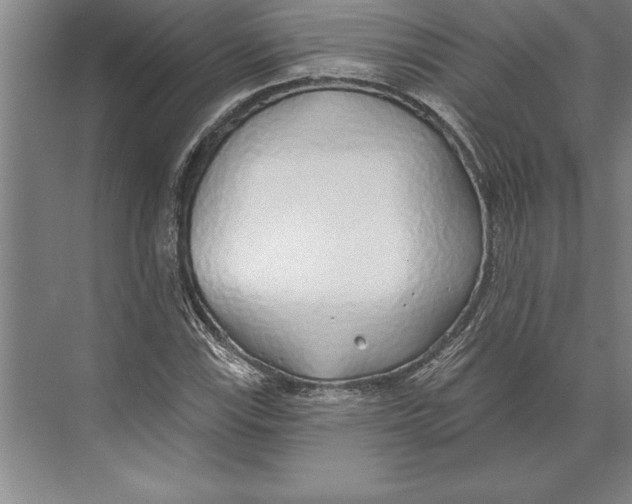 X0000074961115200609221750