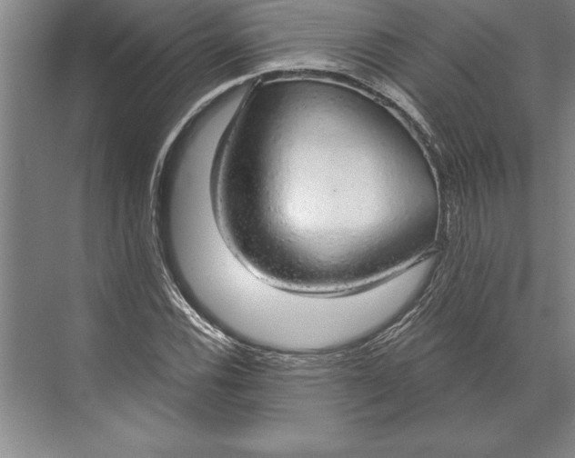 X0000074961116200609221750