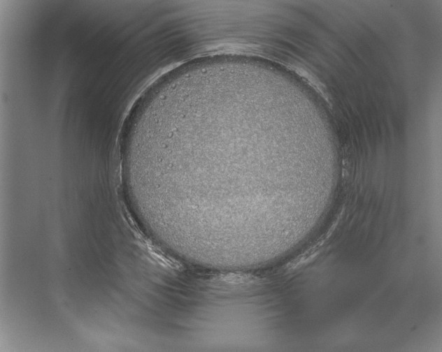 X0000074961117200609221750