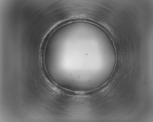 X0000074961118200609221750