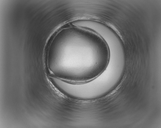 X0000074961122200609221750