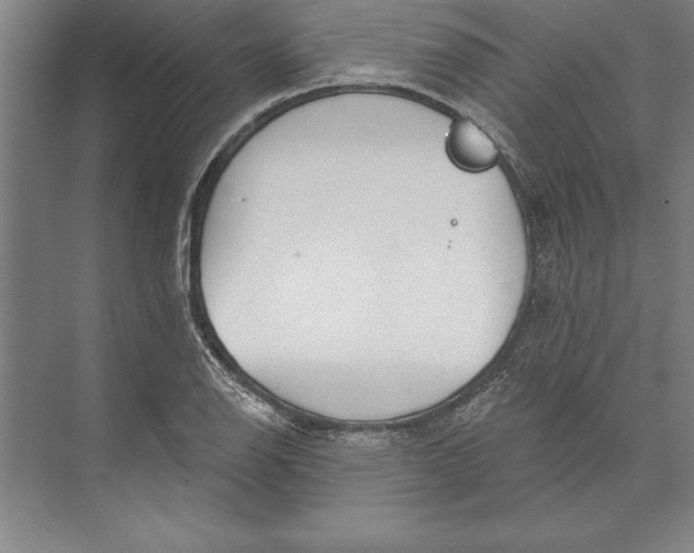 X0000074961126200609221750