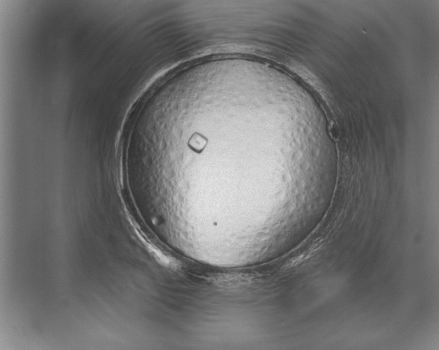 X0000074961127200609221750