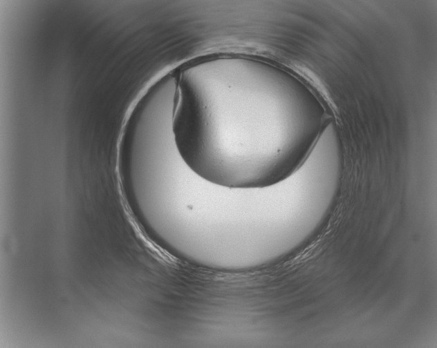 X0000074961128200609221750