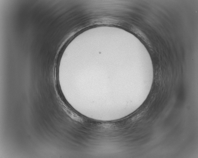 X0000074961130200609221750