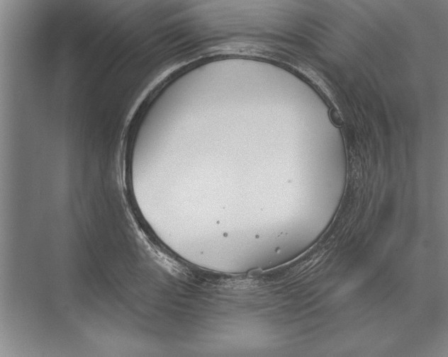 X0000074961131200609221750