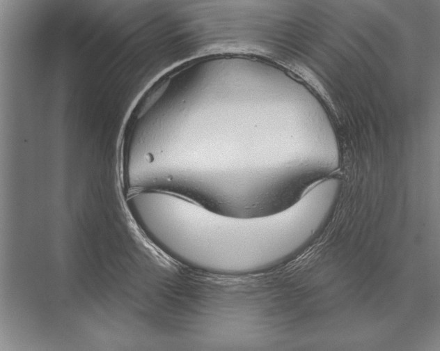 X0000074961132200609221750