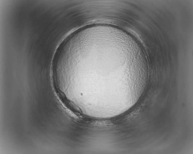 X0000074961133200609221750