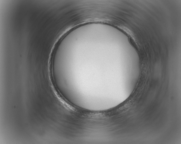 X0000074961135200609221750