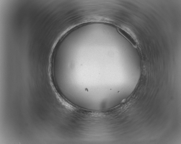 X0000074961136200609221750