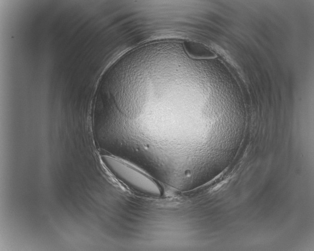 X0000074961137200609221750