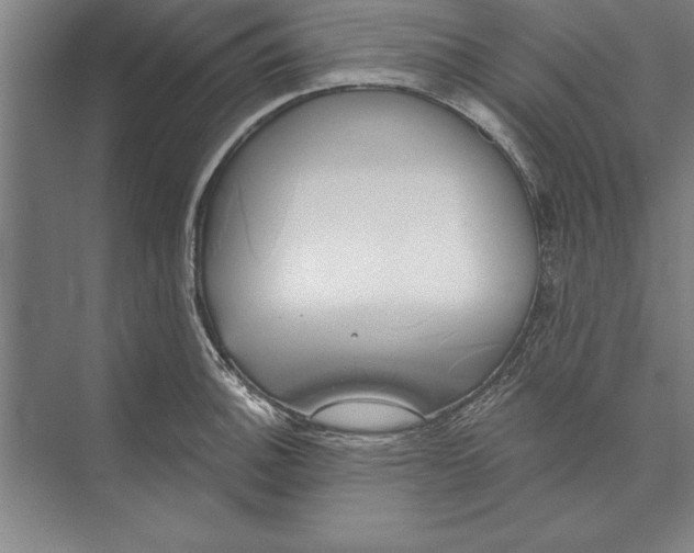 X0000074961140200609221750