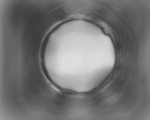 X0000074961141200609221750