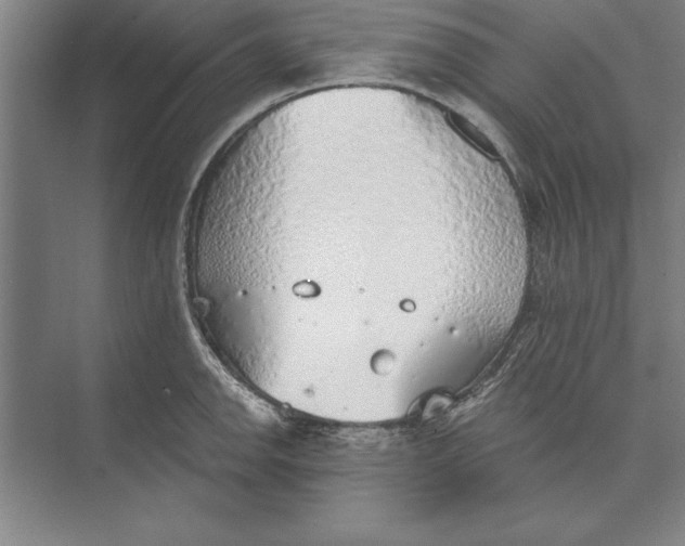 X0000074961142200609221750