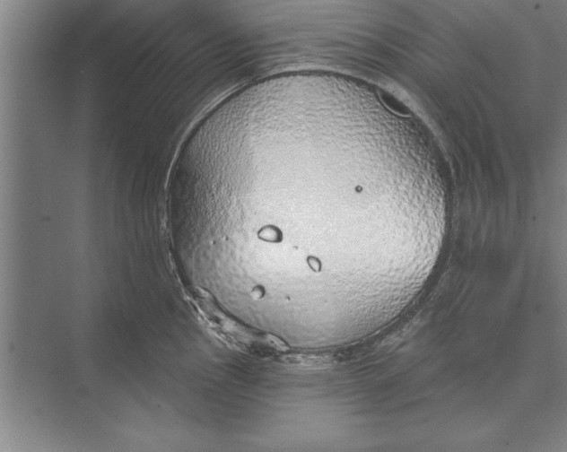 X0000074961145200609221750