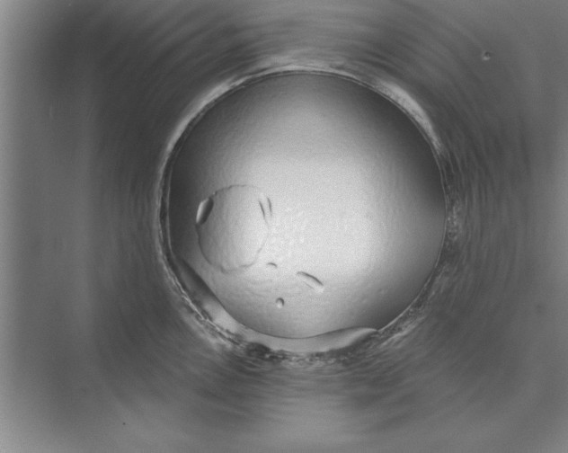 X0000074961146200609221750