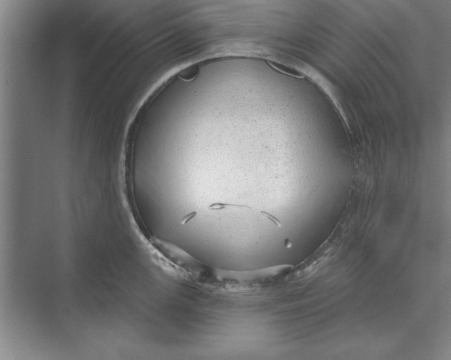 X0000074961147200609221750