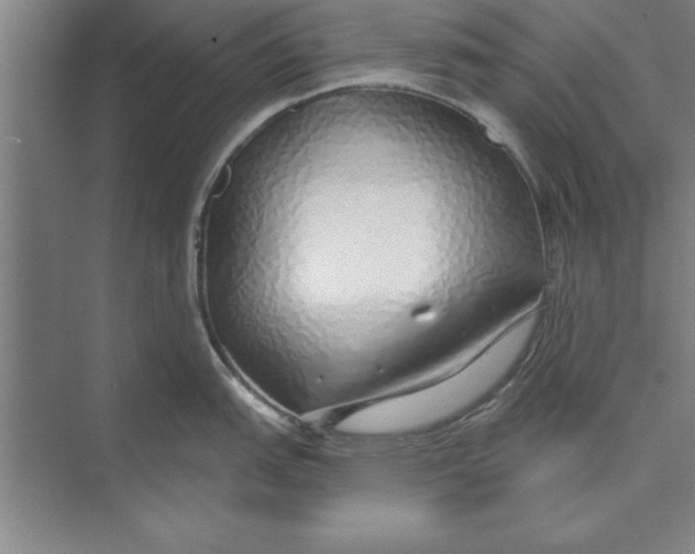 X0000074961151200609221750