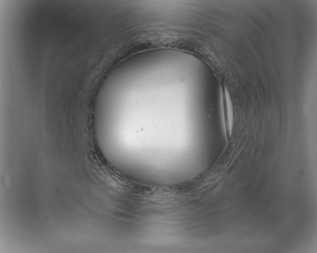 X0000074961153200609221749