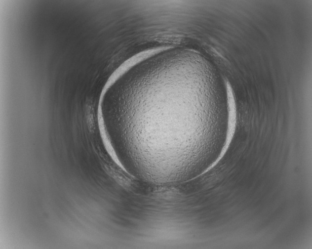 X0000074961154200609221749