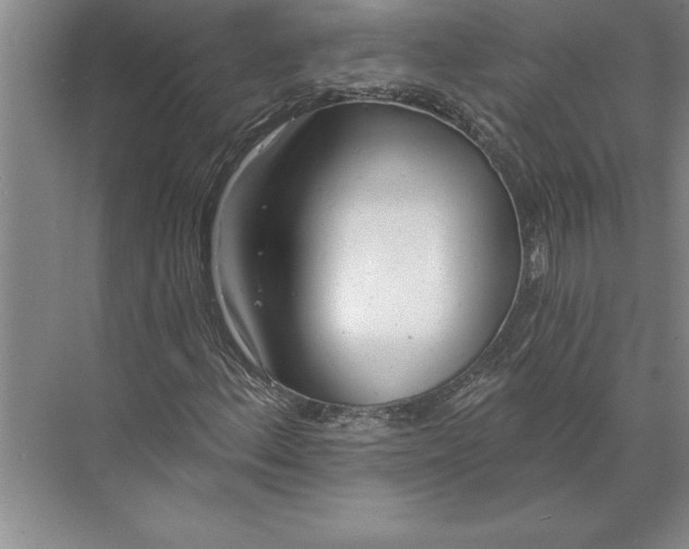 X0000074961156200609221749