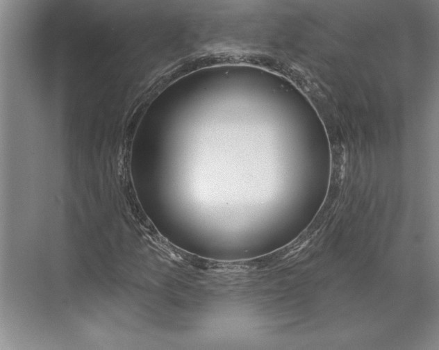 X0000074961157200609221749