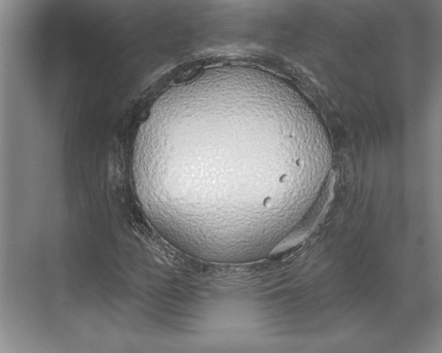 X0000074961158200609221749