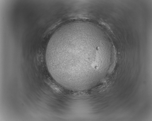 X0000074961159200609221749