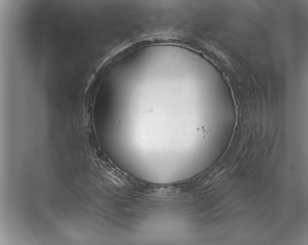 X0000074961160200609221749