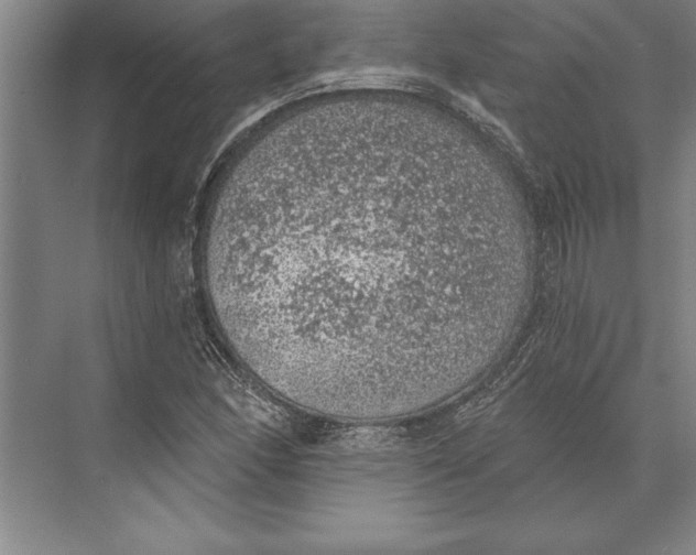 X0000074961166200609221749