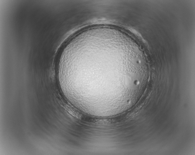 X0000074961167200609221749