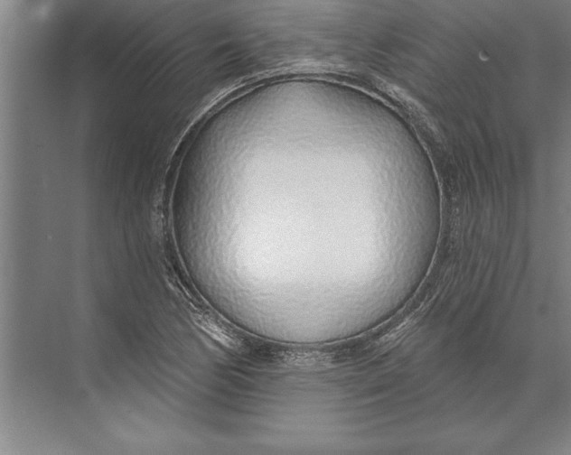 X0000074961170200609221749