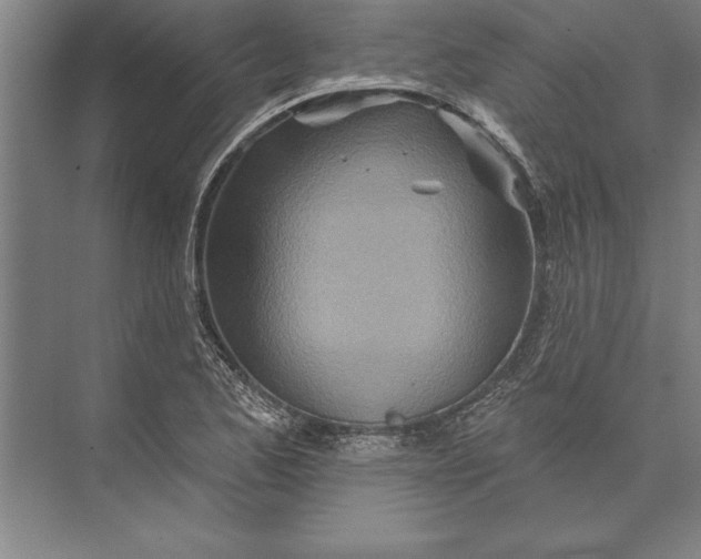 X0000074961173200609221749