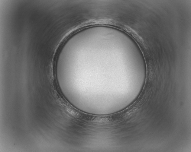 X0000074961174200609221749