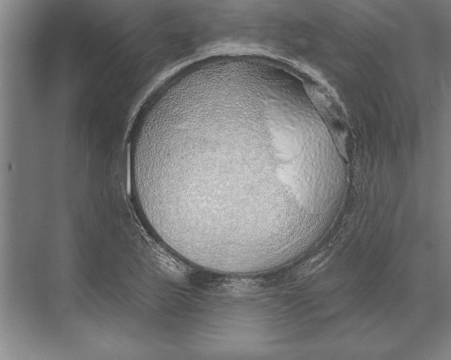 X0000074961175200609221749