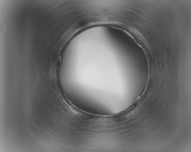 X0000074961177200609221749