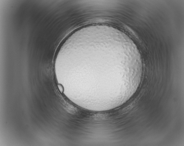 X0000074961178200609221749