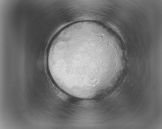 X0000074961179200609221749