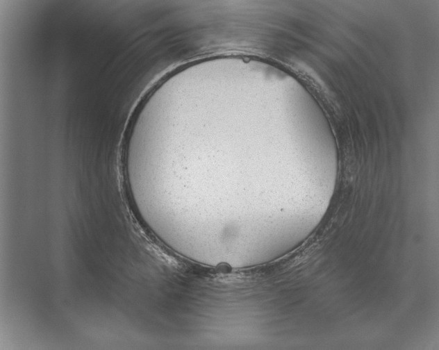 X0000074961182200609221749