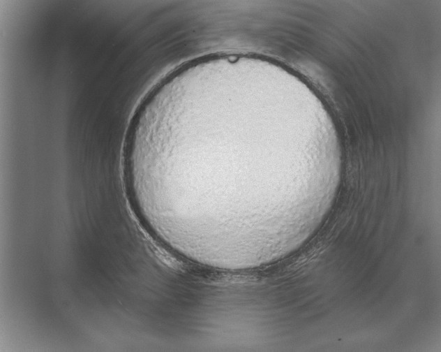 X0000074961183200609221749